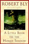 A Little Book on the Human Shadow [LITTLE BK ON THE HUMAN SHADOW]