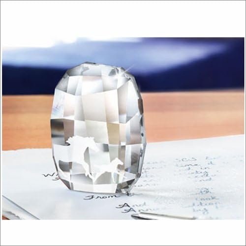 SWAROVSKI SCS MEMBERSHIP GIFT 2014