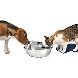 Pet Drinking Fountain - Raindrop Design