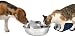 Vpi Pet Insurance Top Ten Things To Look For In A Pet Insurance Policy 41ZnEPpBcML. SL75 Vpi Pet Insurance Top Ten Things To Look For In A Pet Insurance Policy