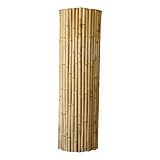 Bamboo Fence 1" X 6