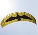 Pro 5.0 M2 Power Traction Kite with Lines and Handles for Buggying, Landkiting and Snowkiting