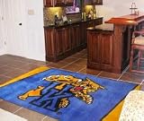 Kentucky Wildcats Rug 5x8
