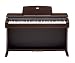 Musical Instruments : Casio AP45 Digital Piano (88 Keys with Weighted Action)