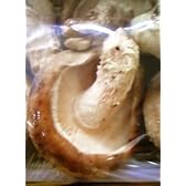 茨城・栃木県産　原木しいたけ　100g　5パックセット