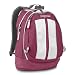 JanSport Sputnik Backpack with Laptop Compartment (Pink Daiquiri)