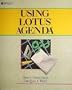 Using Lotus Agenda