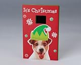 Digital Slideshow Deck the Paws Christmas Card