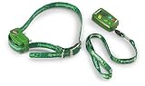 41ZnzyKbJtL. SL160  What Makes The Remote Dog Collar Different