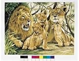 Senior Painting by Numbers - Pride of Lions