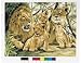Senior Painting by Numbers - Pride of Lions
