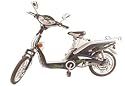 Electric ZiPee Bike - Zero input of Pollution from Emissions into the Environment