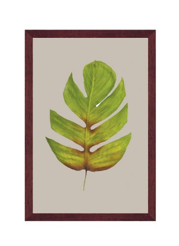 Nexxt by Linea Foliage Philodendron I Framed Art