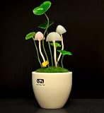 LED, Jeu de lumière, veilleuse de champignon, lumière dodo, veilleuse décorative, lampe de table, So-ELL11-W