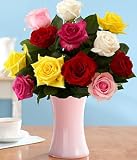 One Dozen Long Stemmed Rainbow Roses