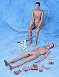 3B Scientific Patient Care Manikin, I