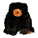 Baby Browser Black Teddy Bear - 12