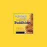 The Beginner's Guide to Buddhism: A Short Course on This Powerful Eastern Philosophy