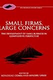 Small Firms, Large Concerns: The Development of Small Business in Comparative Perspective (Fuji Conference Series III)