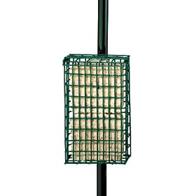 Droll Yankees, Inc Suet Feeder with Pole Clamp Double by