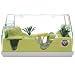 Discovery Exclusive Frog Pond Habitat