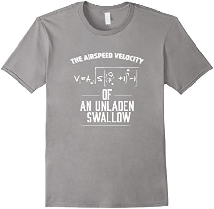 Men's FUNNY THE AIRSPEED VELOCITY OF AN UNLADEN SWALLOW T-SHIRT XL Slate