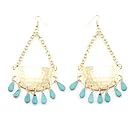Turquoise Crescent Hook Earrings