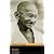 Gandhi: Level 2 (Penguin Readers Simplified Text)