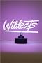 Northwestern Neon Lamp/Light Sign