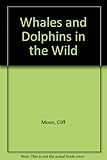 Whales and dolphins in the wild