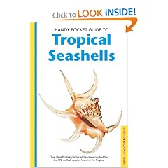 Handy Pocket Guide To Tropical Seashells (Periplus Nature Guides)