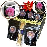 WhiteOak Photography Floral Prints - Delicate Pink Rose Pink Rose with Water Drops - Coffee Gift Baskets - Coffee Gift Basket