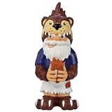 NCAA Team Thematic Gnome