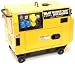 WP5500DS Silent Diesel Generator 10HP