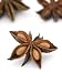 Star Anise, Illicium Verum Photographic Poster Print by Geoff Kidd, 18x24