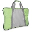 dreamGEAR Nylon Travel Bag for Nintendo Wii Fit - Green / Grey