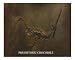 PREHISTORIC CROCODILE; From Age of Dinosaurs Animals Photographic Poster Print by Aar...