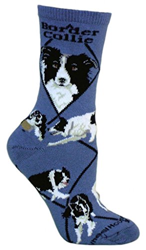Border Collie Animal Socks On Blue 9-11