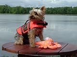 Outward Hound Pet Savor Dog Orginal Life Jacket Xsmall Yorkie Size