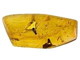 MM VARIES MEDIUM FREE FORM COPAL FROM COLOMBIA
