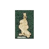 Eastern Michigan Univ Eagle Charm/Pendant -14K/10K, Stainless Steel or Gold Plated