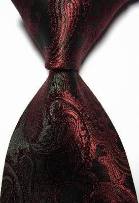 Fashionbox New Pulm Paisley JACQUARD WOVEN Men's Tie Necktie Party Wedding Holiday Gift