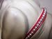 Kitchen & Housewares : Little Pearl Vinyl Dog Collar 8in Red 33P