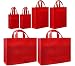 Reusable Gift Bags, Red Variety 6 Pack