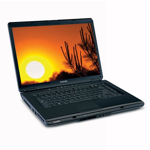 Toshiba Satellite L305D-S5874 15.4