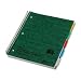 Rediform Wirebound 5-Subject Write-On Tab Notebook, College/Margin Rule, Assorted Colors (Grey, Blue, Green and Red), Color May Vary, 200 Sheets, 1 Notebook (33001)