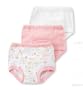 Gerber Training Pants 3 Pack, Size 2T, Girl 2009