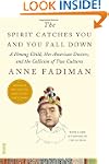 The Spirit Catches You and You Fall D...