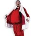 Santa Belly Christmas Xmas Holiday Outfit Mens Costume Accessory