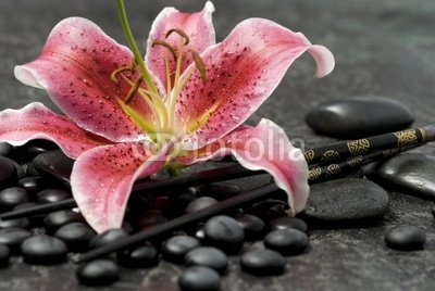 Wallmonkeys Peel and Stick Wall Decals - Lilie Still-leben - 72